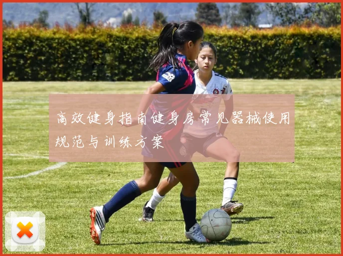 高效健身指南健身房常见器械使用规范与训练方案