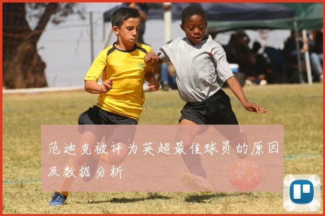 范迪克被评为英超最佳球员的原因及数据分析