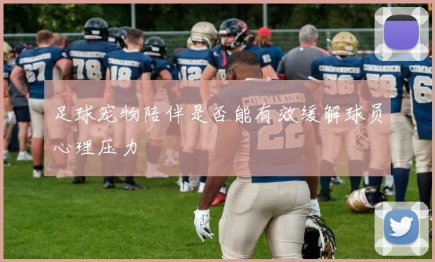 足球宠物陪伴是否能有效缓解球员心理压力