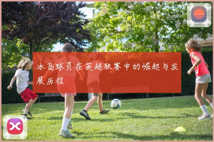 冰岛球员在英超联赛中的崛起与发展历程