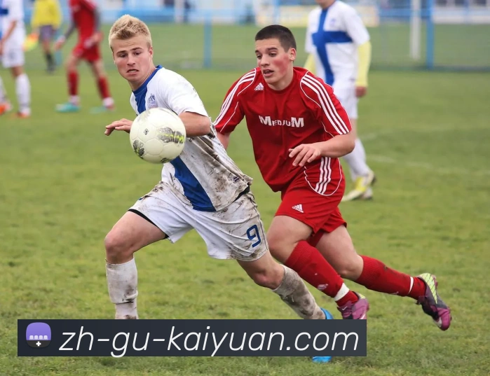 开元棋牌平台生态图